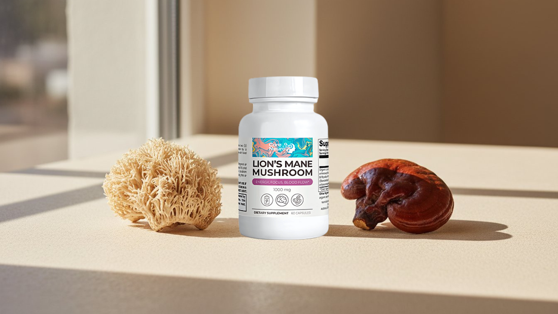 The Best Mushroom Supplements: A Guide to Elevate Your Mind & Body