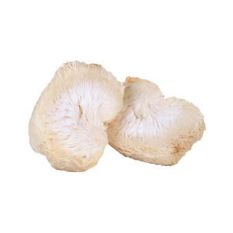 lions-mane-mushroom